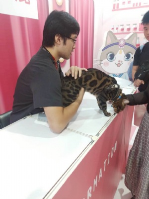 韓國(guó)喵美所