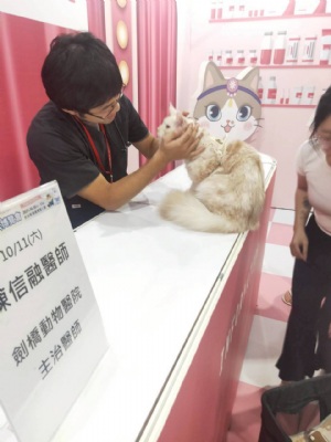 韓國(guó)喵美所